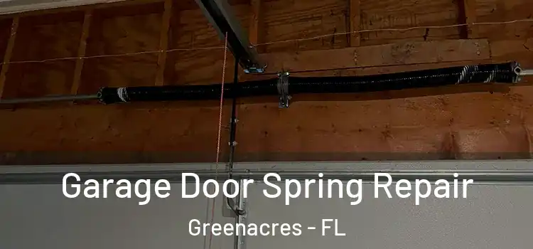  Garage Door Spring Repair Greenacres - FL