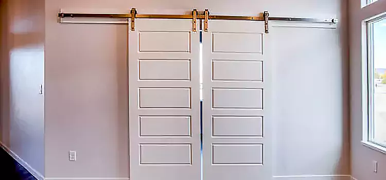 Glass Barn Door with Installation Hardware Kit Greenacres